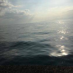 久々のアオリキャッチと痛恨のミス！